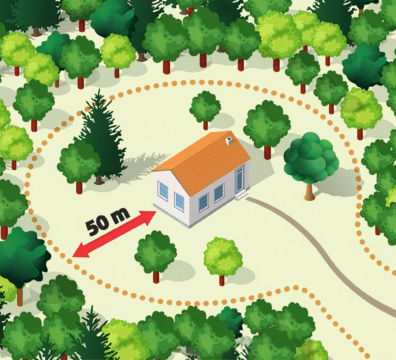 Firefly_rendre cette image plus nette, avec plus de détail et augmenter la qualité 483745