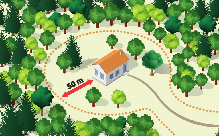 Firefly_rendre cette image plus nette, avec plus de détail et augmenter la qualité 483745